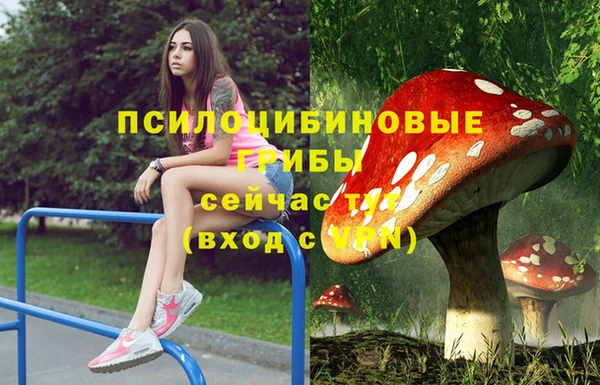 метадон Беломорск