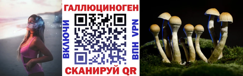 Галлюциногенные грибы GOLDEN TEACHER  Купить  Семилуки 