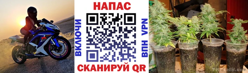 Купить где  Семилуки  Конопля THC 21% 